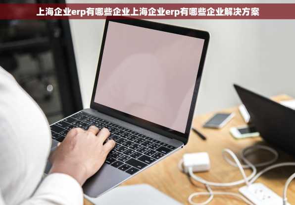 上海企业erp有哪些企业上海企业erp有哪些企业解决方案