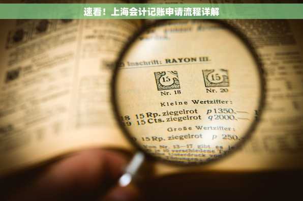 速看！上海会计记账申请流程详解