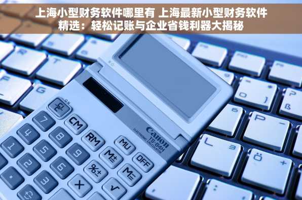 上海小型财务软件哪里有 上海最新小型财务软件精选：轻松记账与企业省钱利器大揭秘