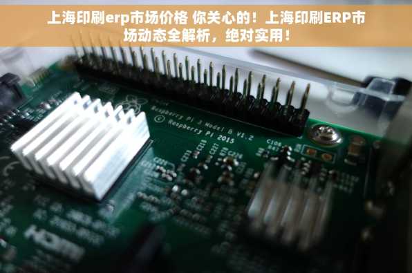 上海印刷erp市场价格 你关心的！上海印刷ERP市场动态全解析，绝对实用！