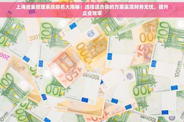 上海资金管理系统排名大揭秘：选择适合你的方案实现财务无忧，提升企业效率