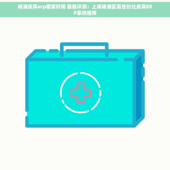 杨浦皮具erp哪家好用 最新评测：上海杨浦区高性价比皮具ERP系统推荐