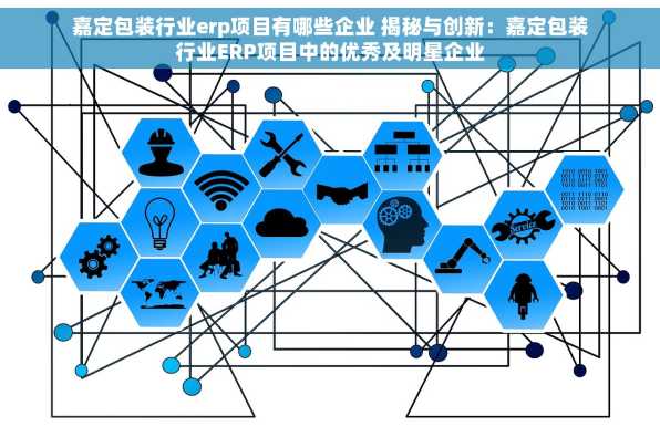 嘉定包装行业erp项目有哪些企业 揭秘与创新：嘉定包装行业ERP项目中的优秀及明星企业