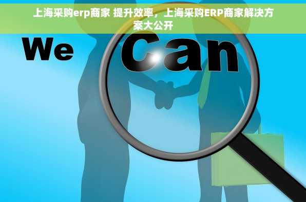 上海采购erp商家 提升效率，上海采购ERP商家解决方案大公开