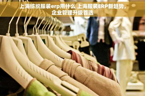 上海纺织服装erp用什么 上海服装ERP新趋势，企业管理升级首选