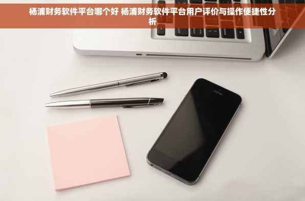 杨浦财务软件平台哪个好 杨浦财务软件平台用户评价与操作便捷性分析