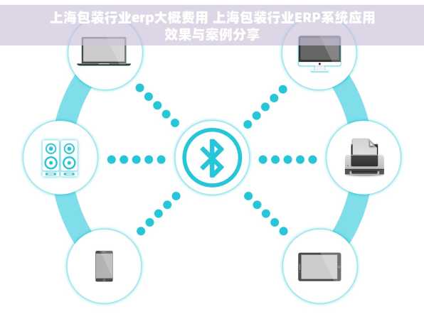 上海包装行业erp大概费用 上海包装行业ERP系统应用效果与案例分享