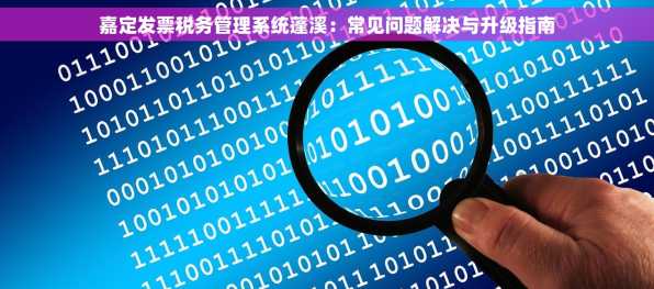 嘉定发票税务管理系统蓬溪：常见问题解决与升级指南