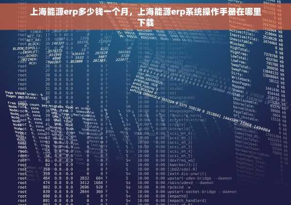 上海能源erp多少钱一个月，上海能源erp系统操作手册在哪里下载