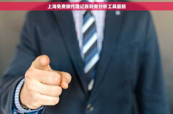 上海免费做代理记账财务分析工具最新