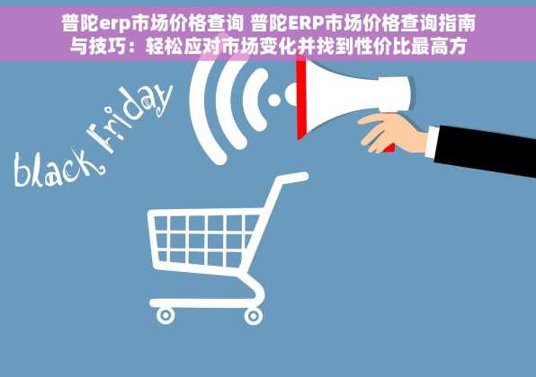 普陀erp市场价格查询 普陀ERP市场价格查询指南与技巧：轻松应对市场变化并找到性价比最高方案