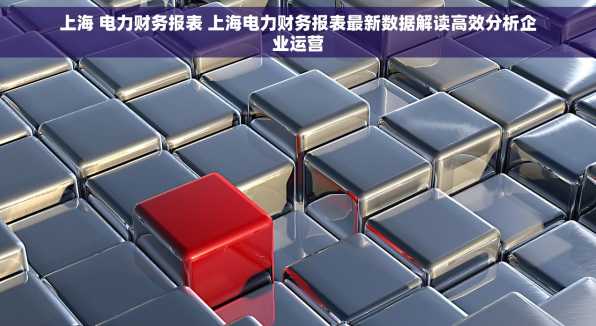 上海 电力财务报表 上海电力财务报表最新数据解读高效分析企业运营