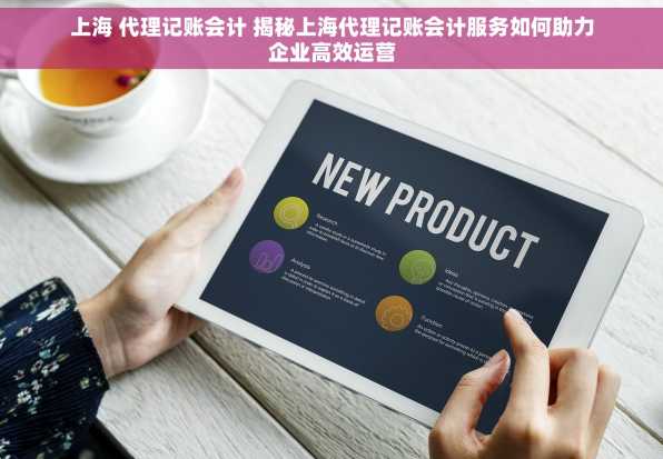 上海 代理记账会计 揭秘上海代理记账会计服务如何助力企业高效运营