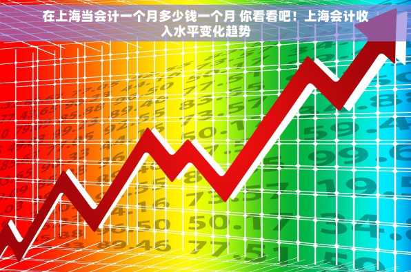 在上海当会计一个月多少钱一个月 你看看吧！上海会计收入水平变化趋势