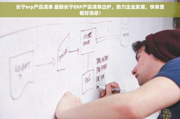 长宁erp产品清单 最新长宁ERP产品清单出炉，助力企业发展，快来查看好消息！