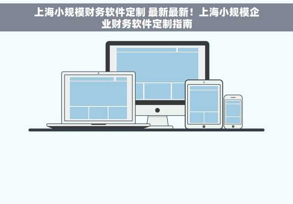 上海小规模财务软件定制 最新最新！上海小规模企业财务软件定制指南