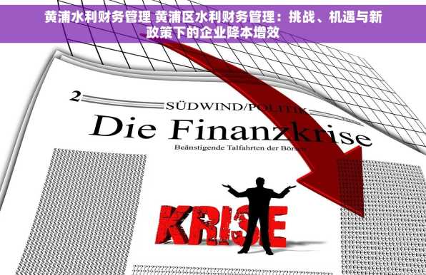 黄浦水利财务管理 黄浦区水利财务管理：挑战、机遇与新政策下的企业降本增效