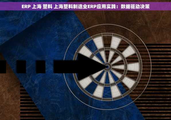 ERP 上海 塑料 上海塑料制造业ERP应用实践：数据驱动决策
