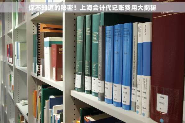 你不知道的秘密！上海会计代记账费用大揭秘