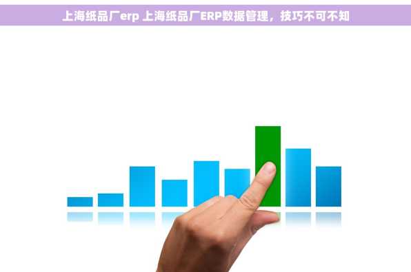 上海纸品厂erp 上海纸品厂ERP数据管理，技巧不可不知
