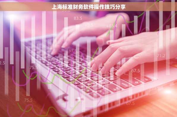 上海标准财务软件操作技巧分享