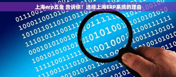 上海erp五金 告诉你！选择上海ERP系统的理由
