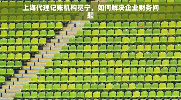 上海代理记账机构冕宁，如何解决企业财务问题