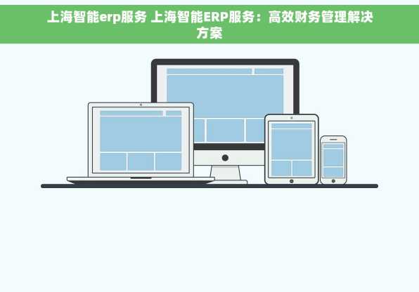 上海智能erp服务 上海智能ERP服务：高效财务管理解决方案