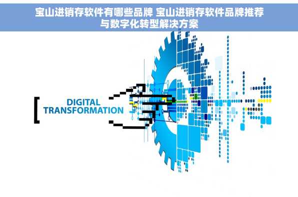 宝山进销存软件有哪些品牌 宝山进销存软件品牌推荐与数字化转型解决方案