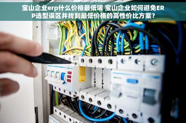 宝山企业erp什么价格最低呢 宝山企业如何避免ERP选型误区并找到最低价格的高性价比方案？