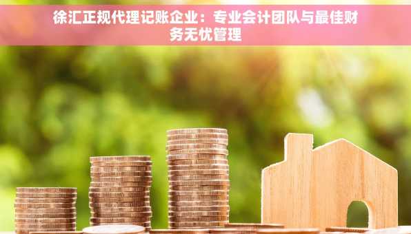 徐汇正规代理记账企业：专业会计团队与最佳财务无忧管理