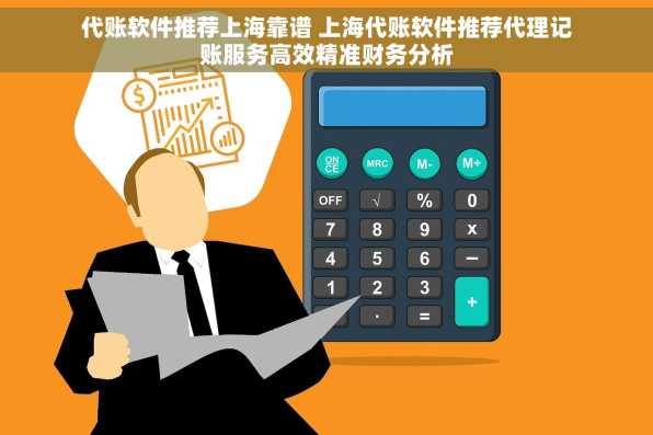 代账软件推荐上海靠谱 上海代账软件推荐代理记账服务高效精准财务分析