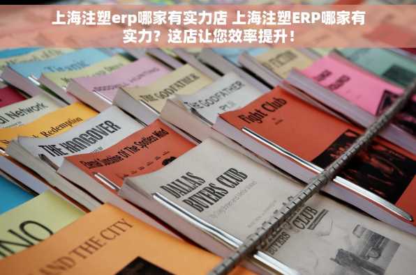 上海注塑erp哪家有实力店 上海注塑ERP哪家有实力？这店让您效率提升！