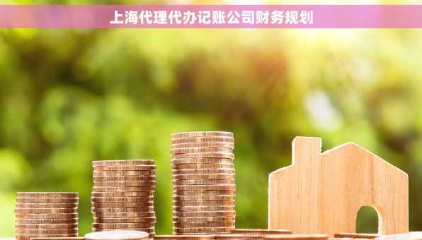 上海代理代办记账公司财务规划