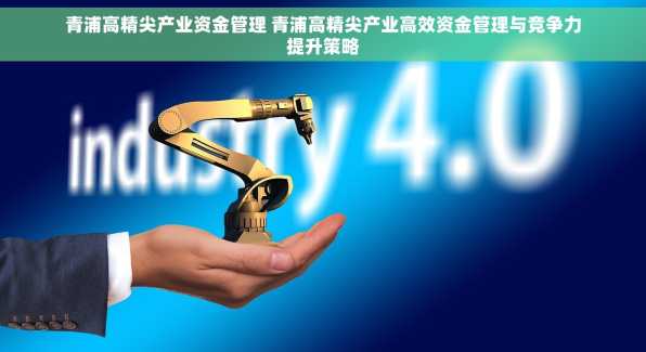 青浦高精尖产业资金管理 青浦高精尖产业高效资金管理与竞争力提升策略
