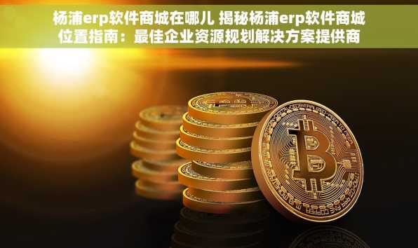 杨浦erp软件商城在哪儿 揭秘杨浦erp软件商城位置指南：最佳企业资源规划解决方案提供商
