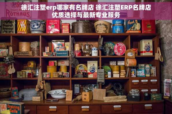 徐汇注塑erp哪家有名牌店 徐汇注塑ERP名牌店优质选择与最新专业服务