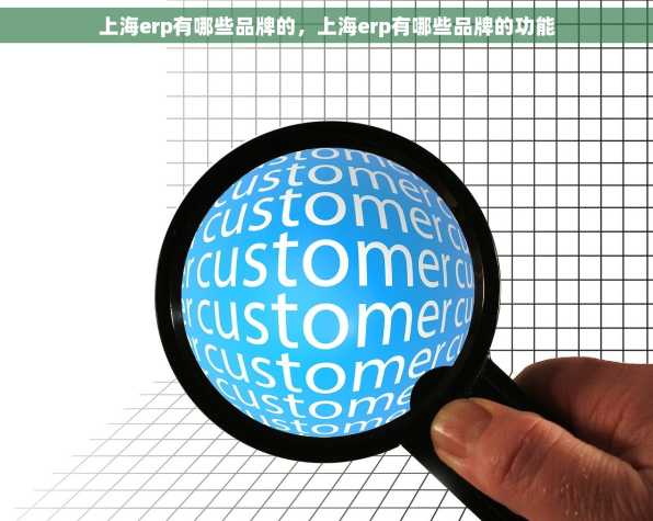 上海erp有哪些品牌的，上海erp有哪些品牌的功能