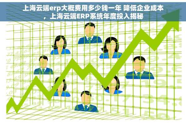 上海云端erp大概费用多少钱一年 降低企业成本，上海云端ERP系统年度投入揭秘