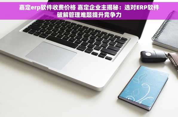 嘉定erp软件收费价格 嘉定企业主揭秘：选对ERP软件破解管理难题提升竞争力