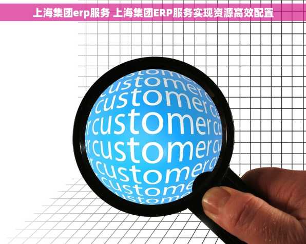 上海集团erp服务 上海集团ERP服务实现资源高效配置