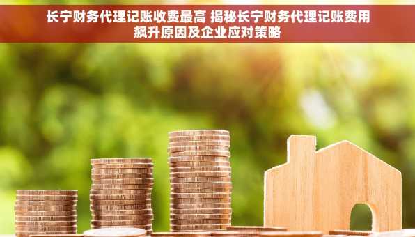 长宁财务代理记账收费最高 揭秘长宁财务代理记账费用飙升原因及企业应对策略