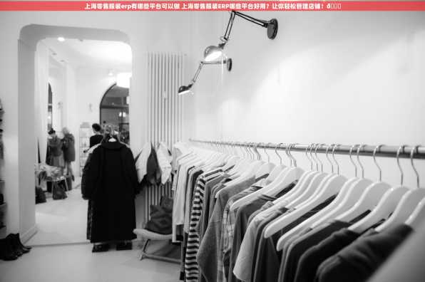 上海零售服装erp有哪些平台可以做 上海零售服装ERP哪些平台好用？让你轻松管理店铺！😊