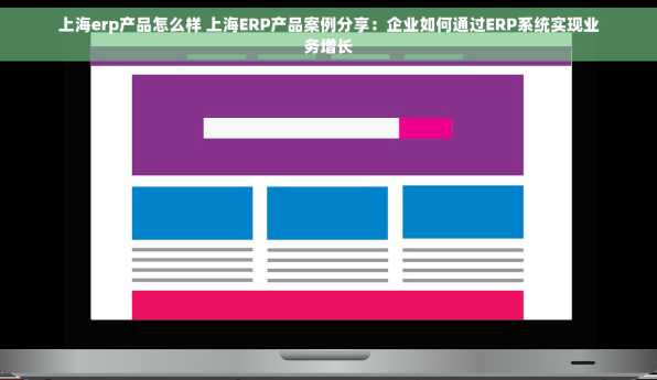上海erp产品怎么样 上海ERP产品案例分享：企业如何通过ERP系统实现业务增长