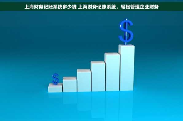 上海财务记账系统多少钱 上海财务记账系统，轻松管理企业财务