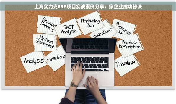 上海实力克ERP项目实战案例分享：家企业成功秘诀