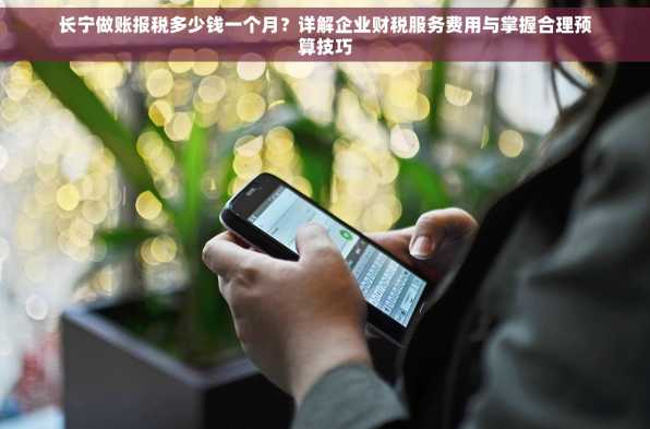 长宁做账报税多少钱一个月？详解企业财税服务费用与掌握合理预算技巧