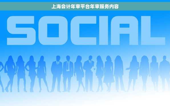 上海会计年审平台年审服务内容