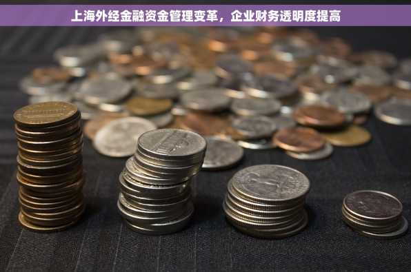 上海外经金融资金管理变革，企业财务透明度提高