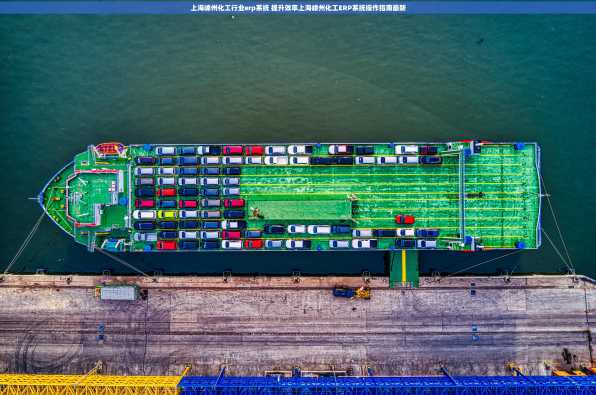 上海嵊州化工行业erp系统 提升效率上海嵊州化工ERP系统操作指南最新